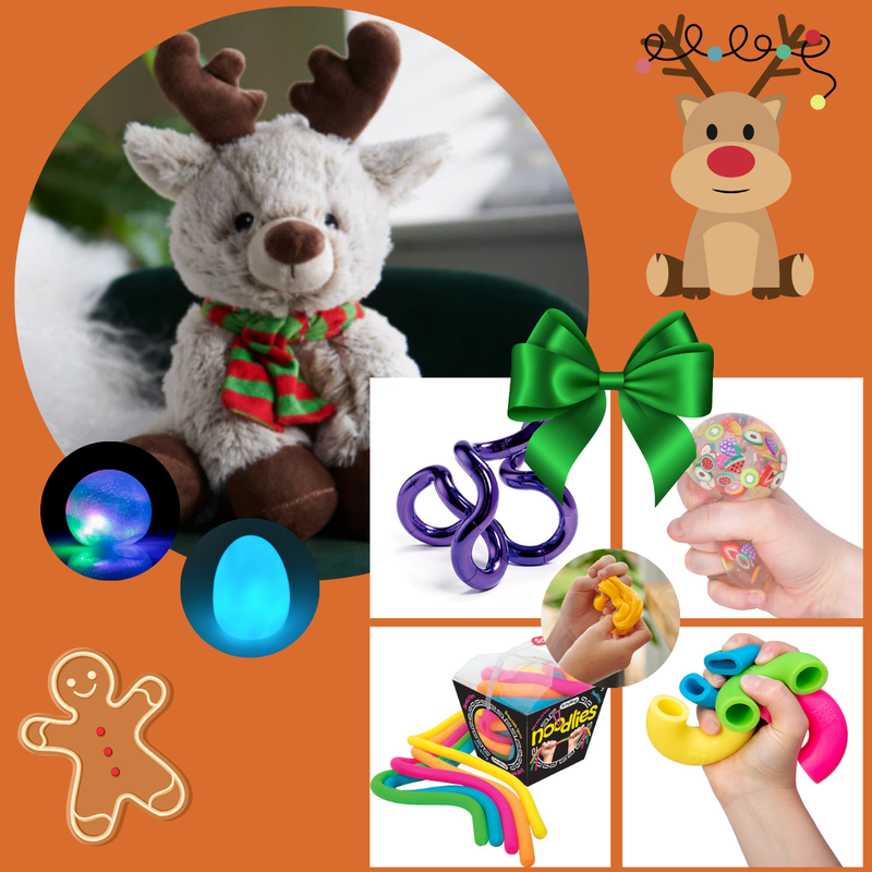 Christmas Sensory Toy Gift Box