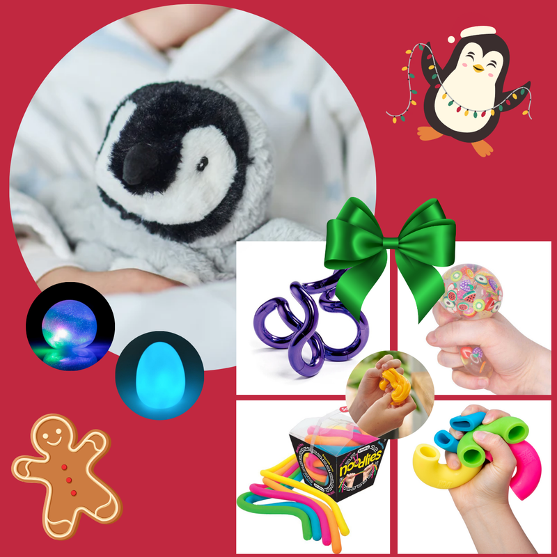 Christmas Sensory Toy Gift Box