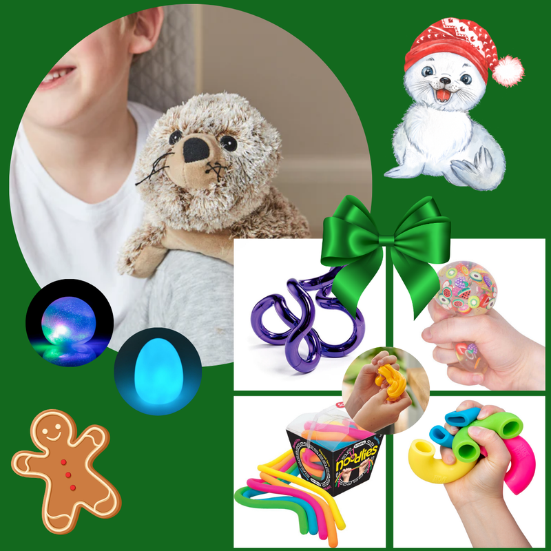 Christmas Sensory Toy Gift Box