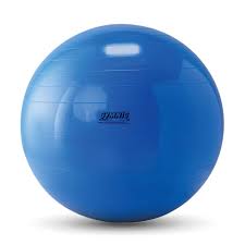 Therapy Body Ball
